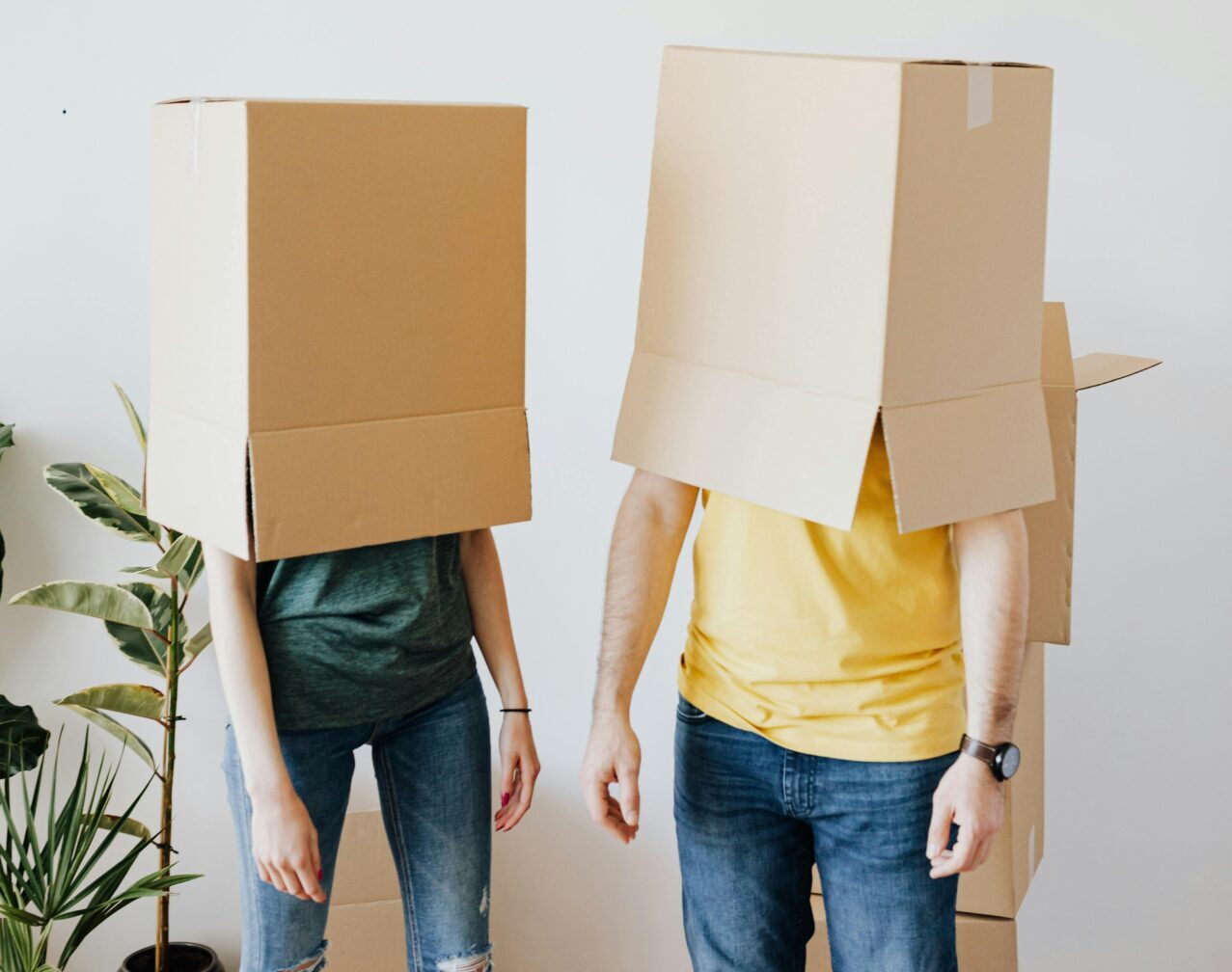 blog id Plein - spoor 2 re-integratie, systemisch werken